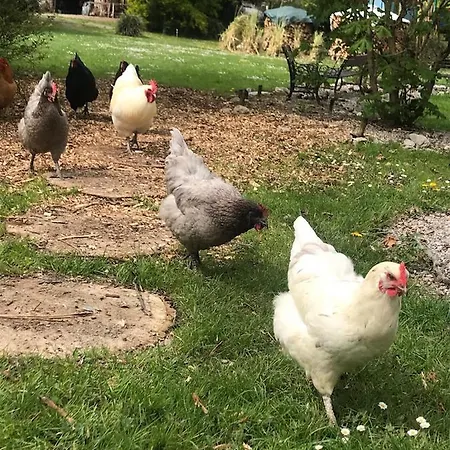 Petit Chateau Bed and breakfast