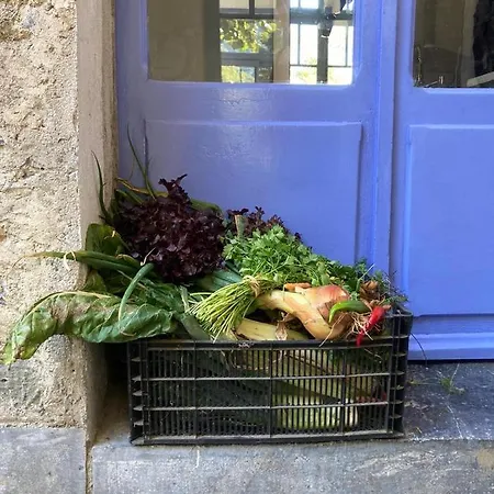 Couette-café Petit Château *