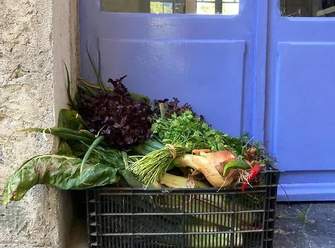 Bed & Breakfast Petit Chateau 4*