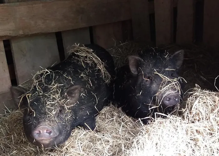 Petit Chateau Frühstückspension Laborde