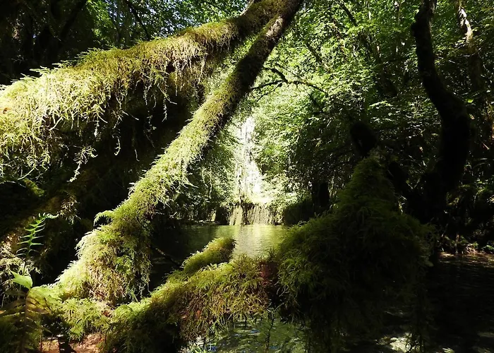 Frühstückspension Petit Chateau Laborde
